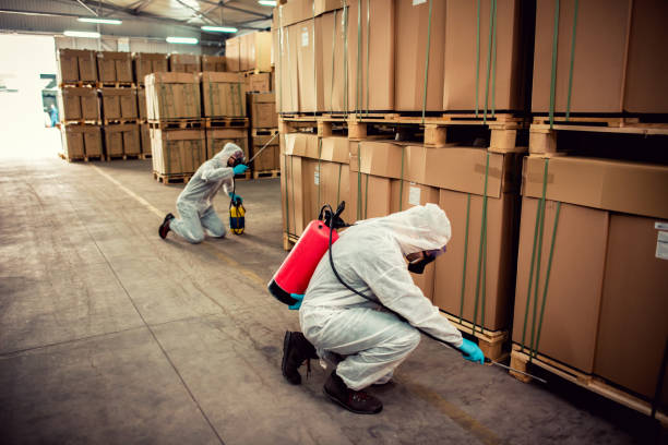 Best Pest Control Near Me in Upper Grand Lagoon, FL