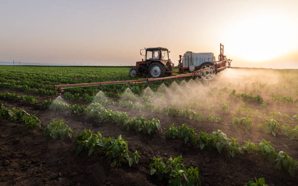 Pest Control Cost in Upper Grand Lagoon, FL