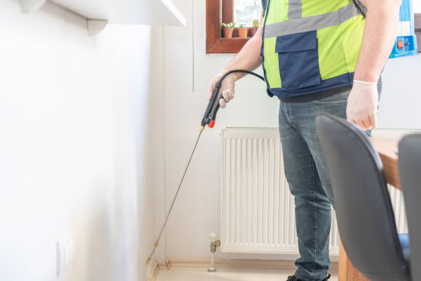 Best Pest Control Near Me  in Upper Grand Lagoon, FL